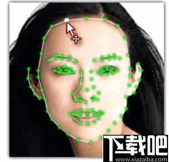 Abrosoft FaceMixer下载,图像处理,人脸合成